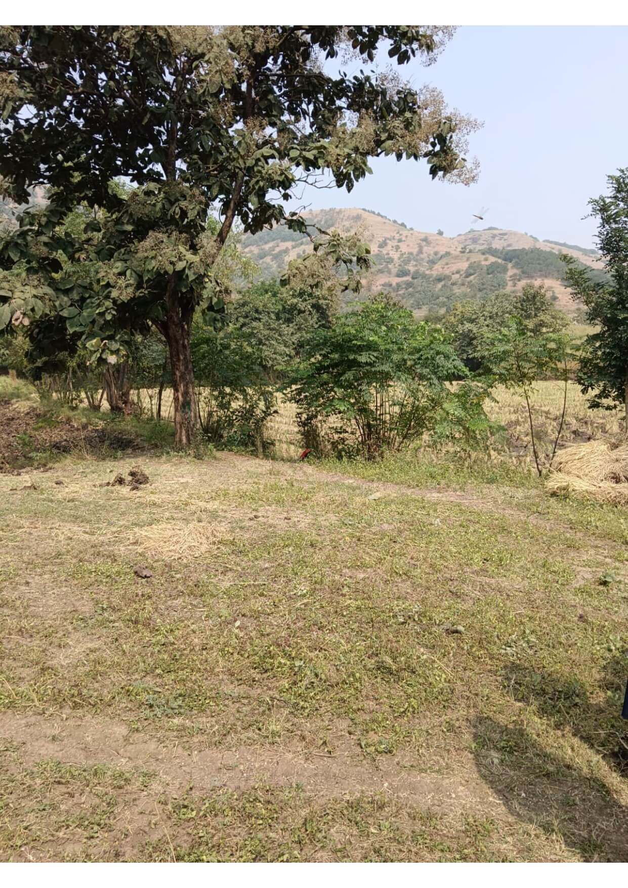 farmhouse-plots-for-sale-in-urse-pune